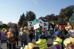 Miniatura zdjęcia: 14